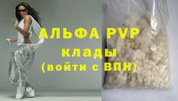 стаф Володарск
