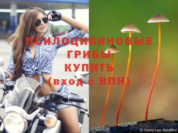 стаф Володарск