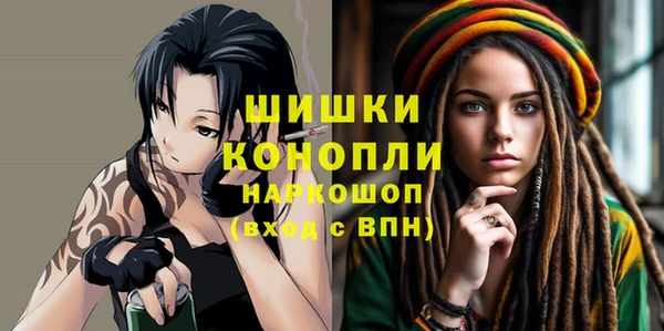 молекула духа Волоколамск