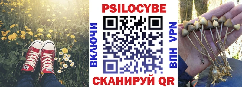 Галлюциногенные грибы MAGIC MUSHROOMS  darknet официальный сайт  Надым 